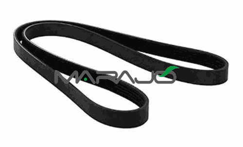 Correia Poly-V - image 1